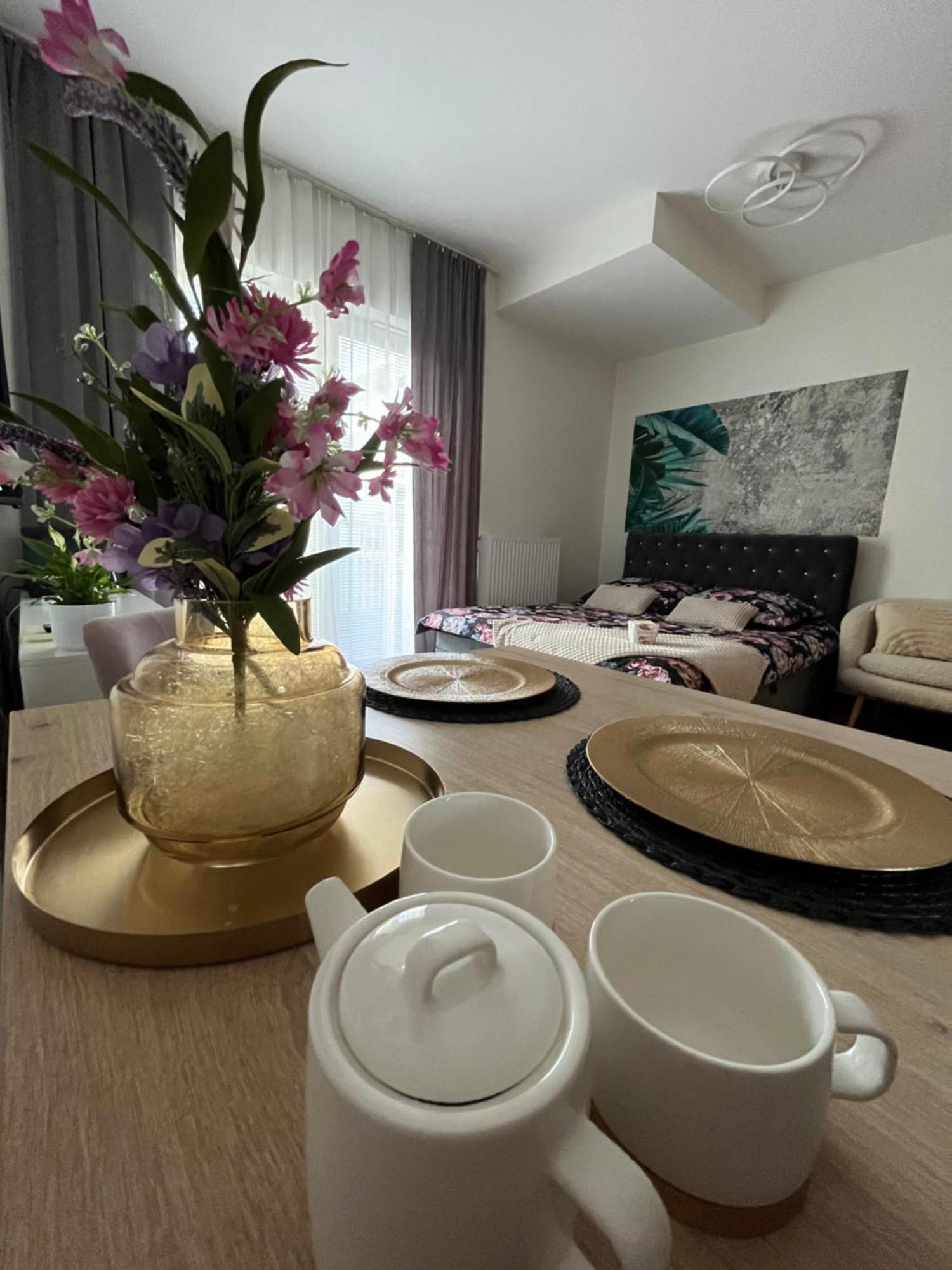 Nova Klonova Apartment Kielce